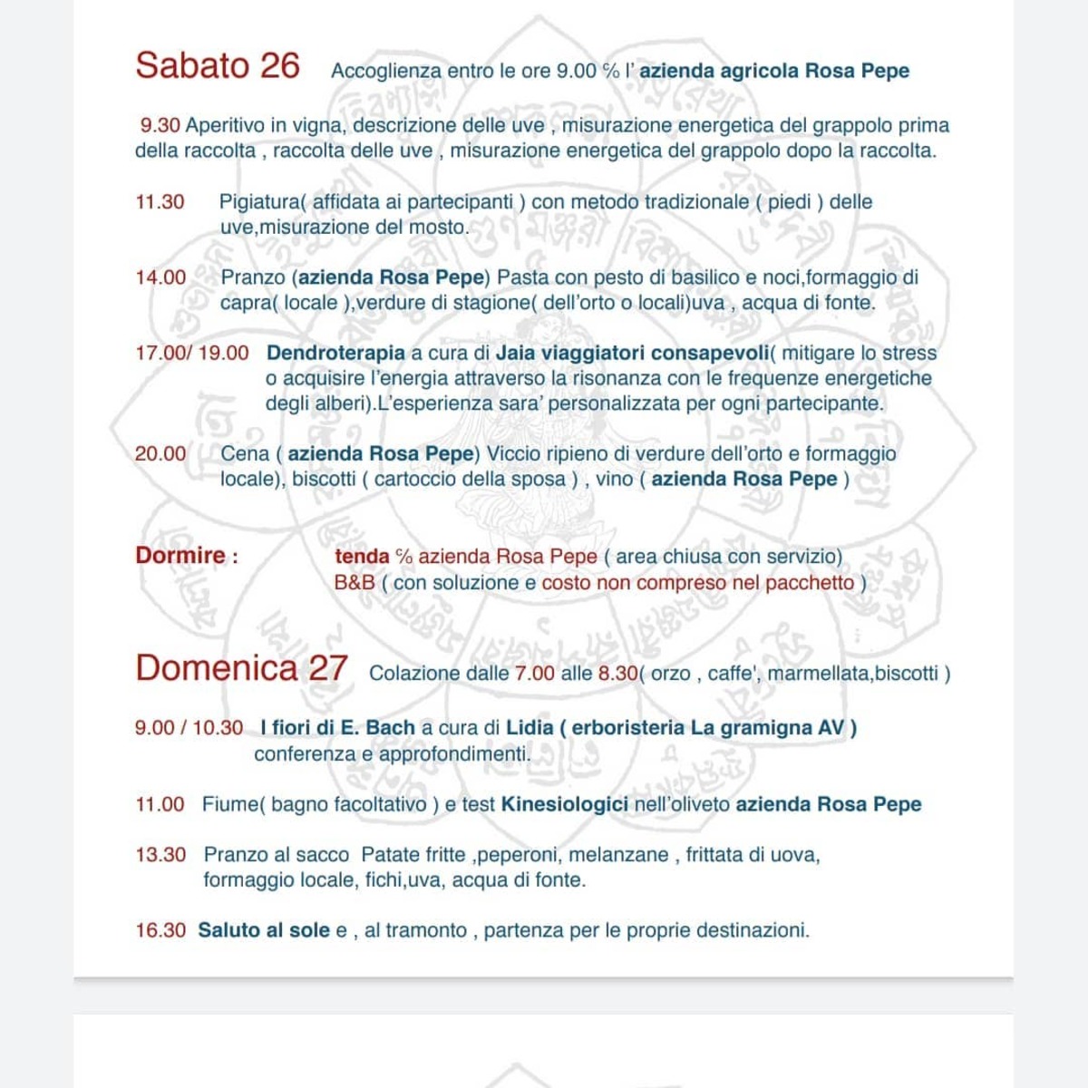 Vigna, vino e ...energie